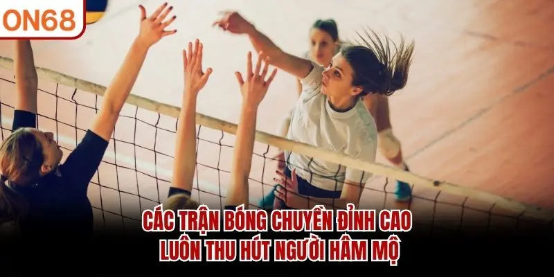Các trận bóng chuyền đỉnh cao luôn thu hút người hâm mộ