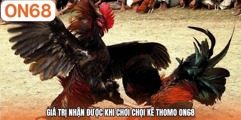 Giá trị nhận được khi chơi chọi kê Thomo ON68