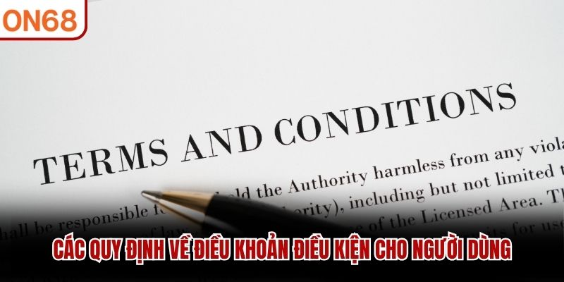 Các quy định về điều khoản điều kiện cho người dùng