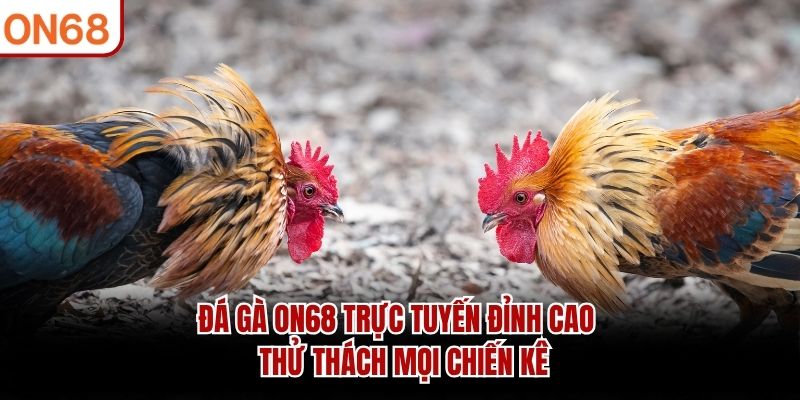 đá gà on68